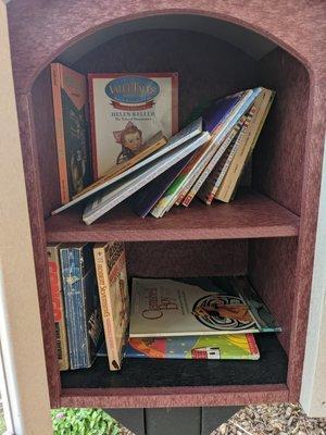 Little Free Library, Brady