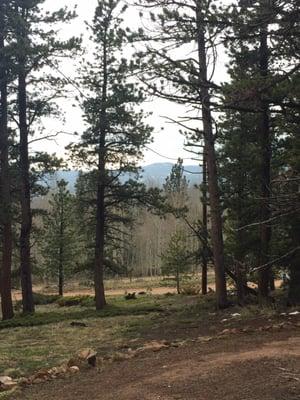 View from Bear Necessities Cabin