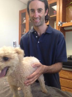 Peaches during acupuncture treatment with Dr. Bernard.