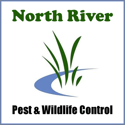 North River Pest & Wildlife Control