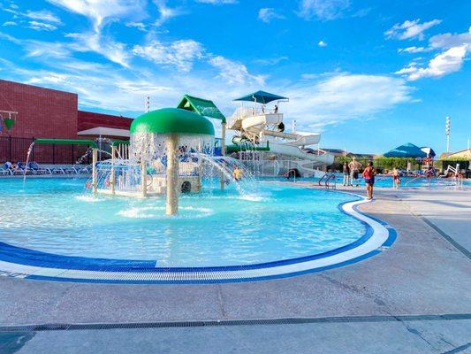 Whitney Ranch Indoor Pool