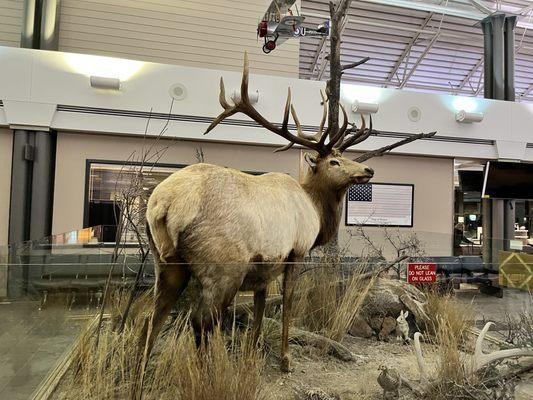 Northeast Wyoming Regional Airport