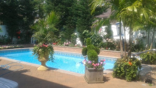 14' x 28' 1/2 Grecian 1/2 rectangle swimming pool