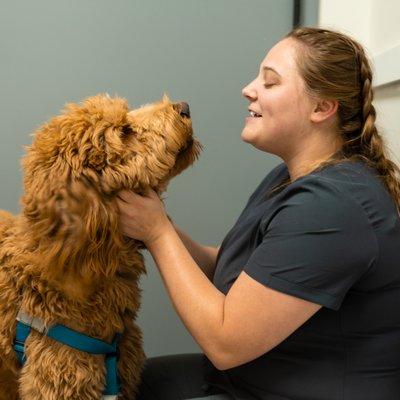 Our compassionate and professional staff provide quality veterinary care to our patients.