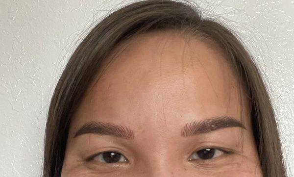 Combo micro blading and ombré shading done by Jeannie :)