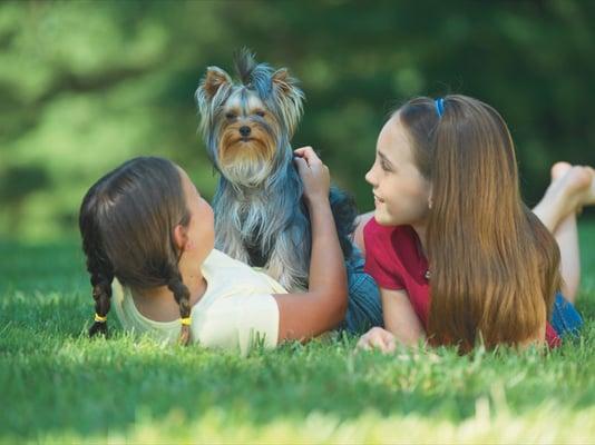 Pet Stop of Northern Illinois