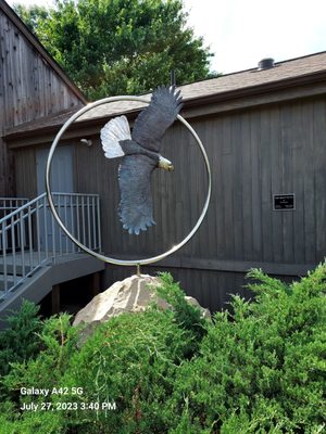 Eagle Exhibit In The Front