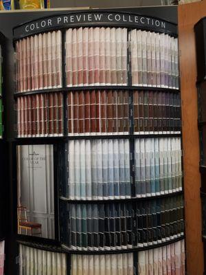 One of MANY selections of paint colors.