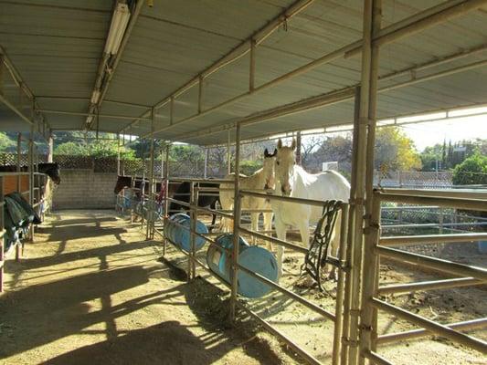 Covered Pipe Stalls