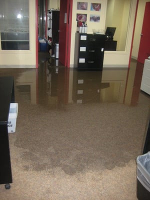 Puritan Flood at a job in Cambridge Ma