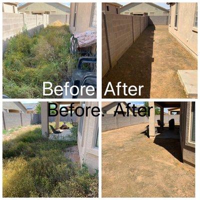 One of our recent clean ups we did.