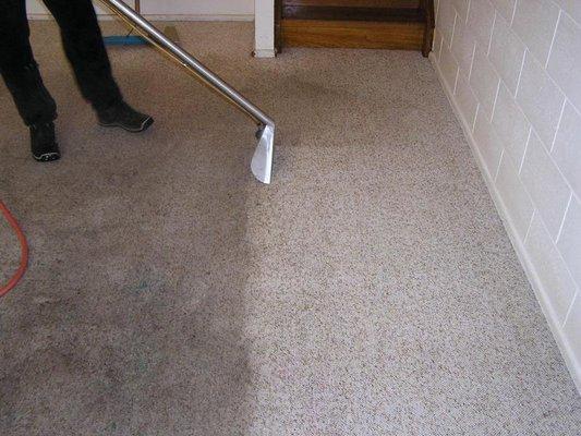 residential carpet cleaning in Eugene