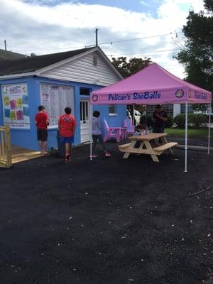 Pelican's Snoballs Lexington