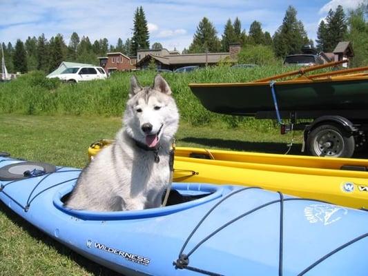 Zoka in a boat!