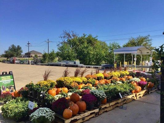 Garden Center at Tractor Supply