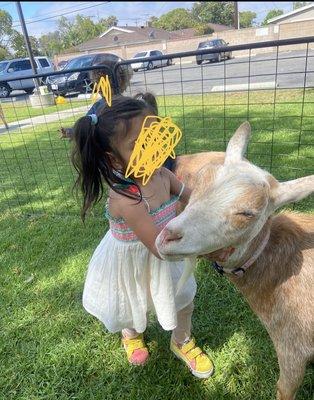 Petting zoo for farm week my daughter enjoying the petting zoo.