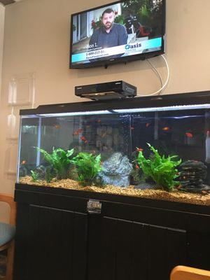 Tv and fish tank