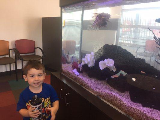 My son loved their beautiful fish tank