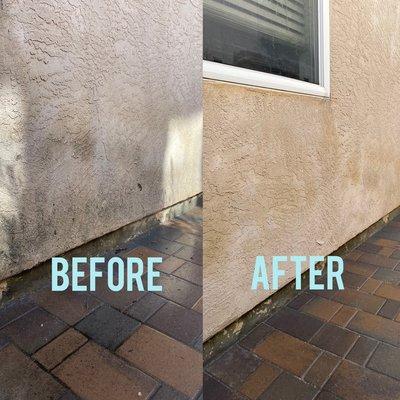 Soft wash for home exterior