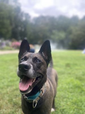 Bluu, the happy doofus boy who got treated like he was a criminal all week.