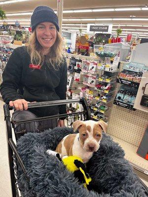 Jesse's new dog with toy from our pet department