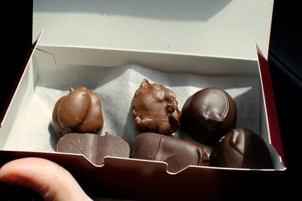 A sampling of delicious chocolates.