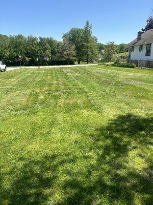 After - Lawn Care