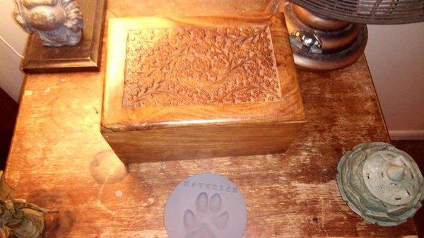 Mavericks urn and paw print