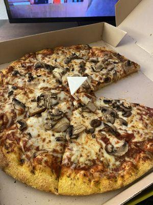 Cheese mushroom pizza