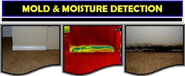 Moisture & Mold Detection