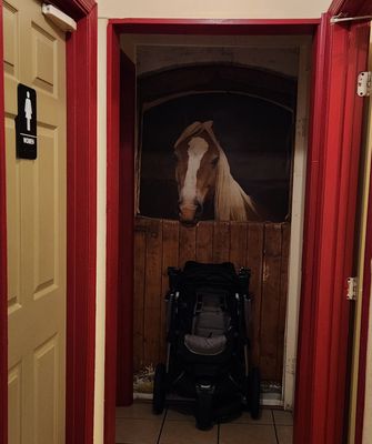 Going to the restroom? Hello, beautiful horse!