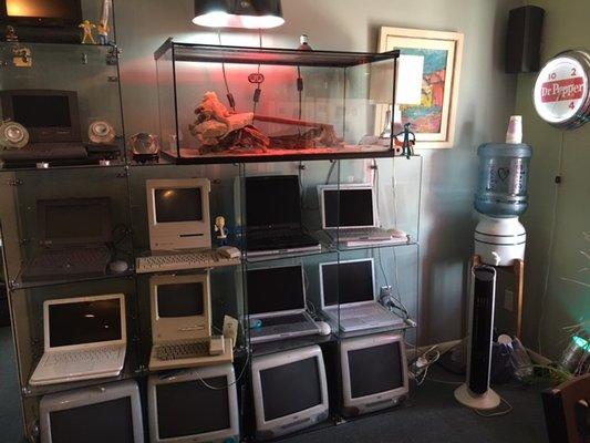 Our Mac museum... And you will also see Bytor, the bearded dragon.