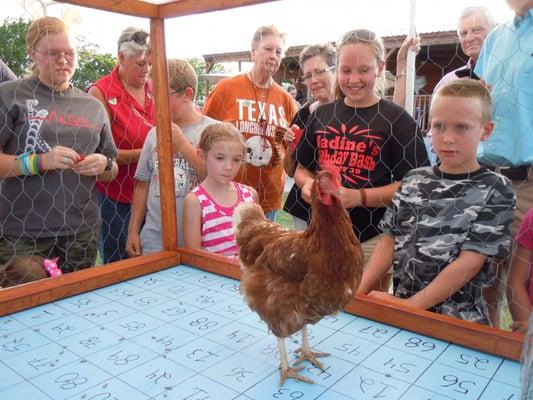 Chicken bingo at the Manor Fest