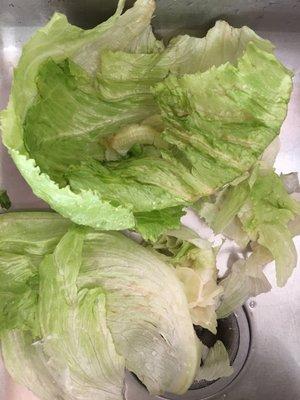 4 layers of spoiled lettuce.