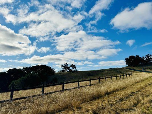 The Dish - Stanford Foothills