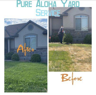 Get Pure Aloha to help you with your yard service .