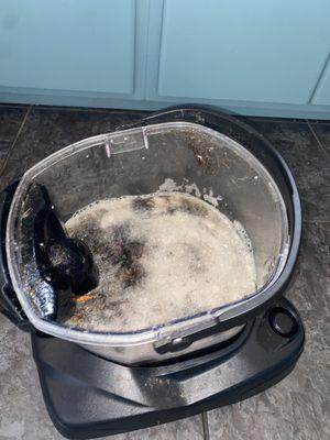 Some dirt and debris from clients' floor trapped in the water filtration system ready for easy disposal