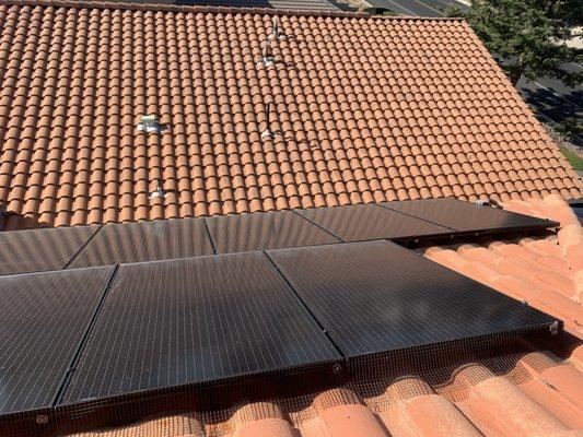 Pigeon Control Solar Panels