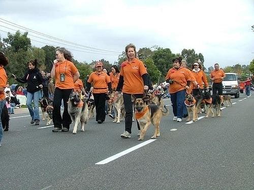 These paws celebrate!