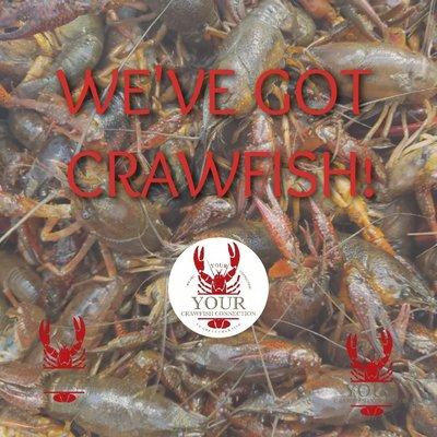 WE'VE GOT CRAWFISH!