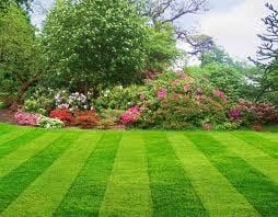 Beautiful lawn care cutting lines