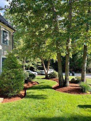 South Shore Lawn Care