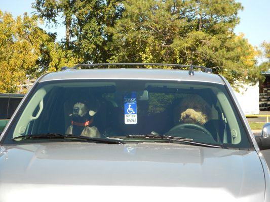 Some of our favorite patients waiting for their owner to come back out with their goodies