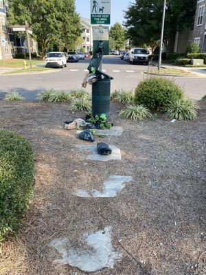 Where else can the poo bags go when overflowing for days