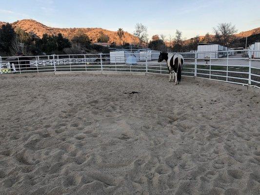 Round pen