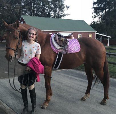 An example of one of the healthy horses they have and use in lessons.