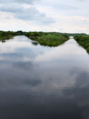 Back Bay National Wildlife Refuge