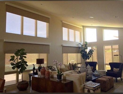 Lafayette roller shades (blackout)