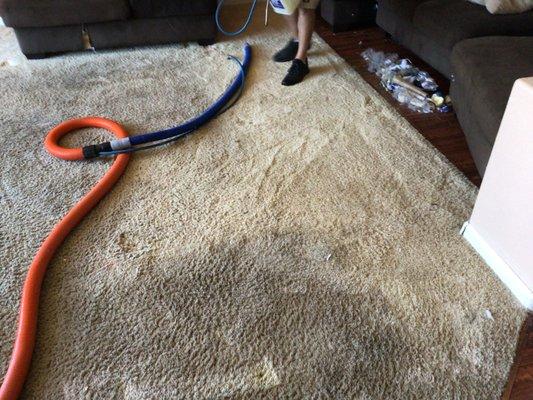 Kinco Carpet & Upholstery Cleaning