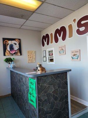 Mimi’s Dog Grooming